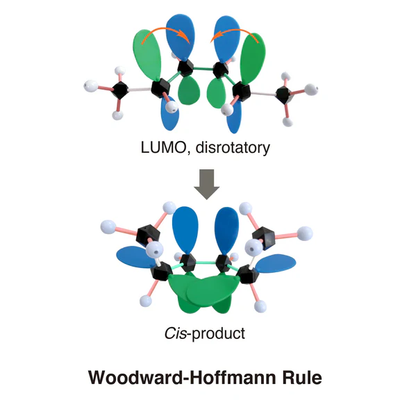 1005Alpha Organic Chemistry Standard Set [3rd Edition] + Student Guide