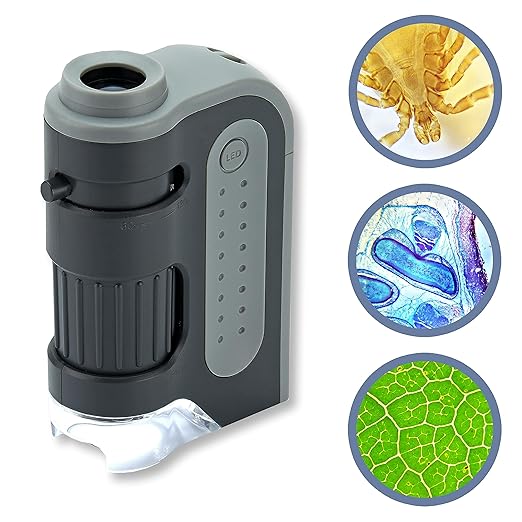 CARSON MicroBrite™ Plus 60x-120x Magnification LED Lit Pocket Microscope MM-300